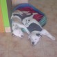 Aki durmiendo cn su hermanita taca.